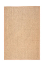 Barracuda Straw