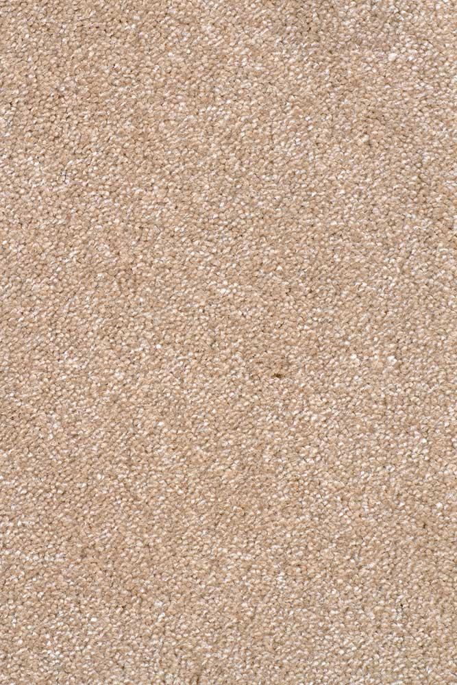 Eden Camel