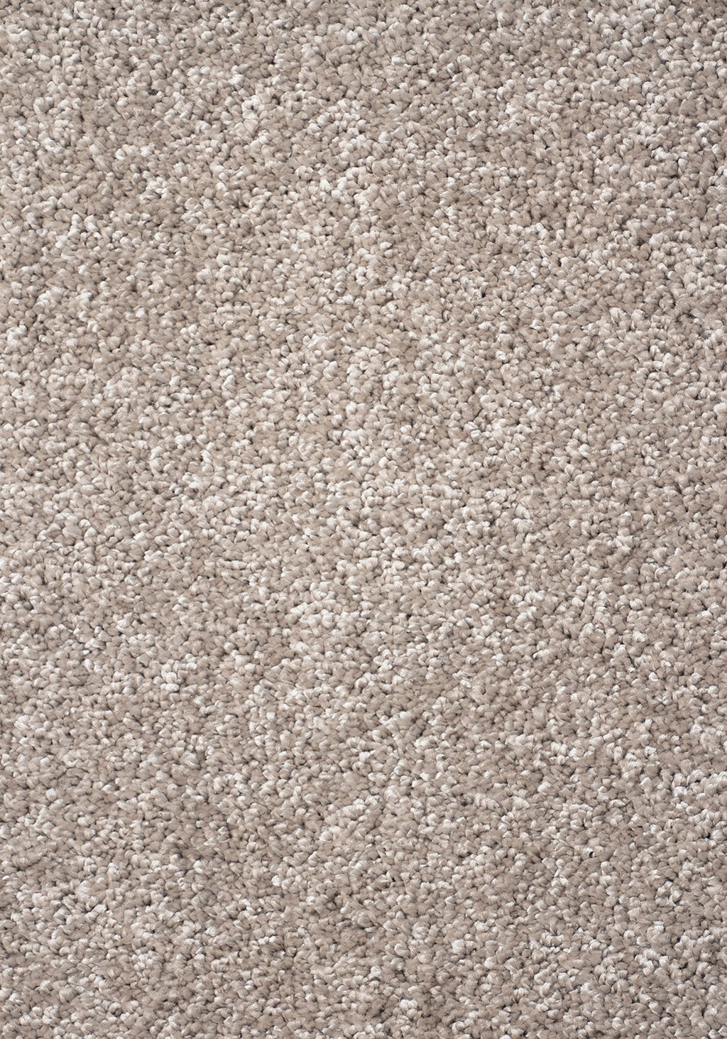 Jazz Beige