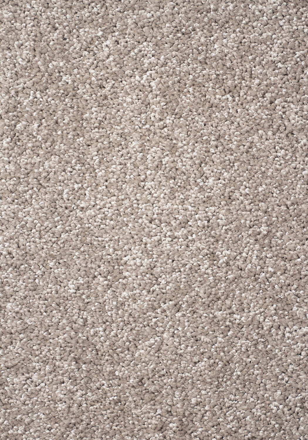 Jazz Beige