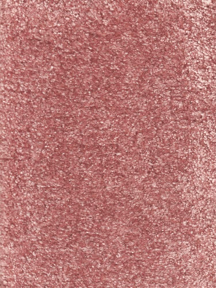 Noble Rose