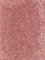 Noble Rose