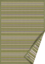 Liiva Olive